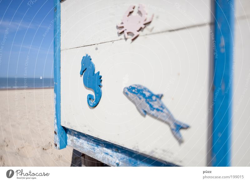 Sommerfrische 1 Ferien & Urlaub & Reisen Tourismus Ferne Sommerurlaub Sonne Sonnenbad Strand Meer Schönes Wetter Küste Nordsee Sand Holz Zeichen Wärme blau