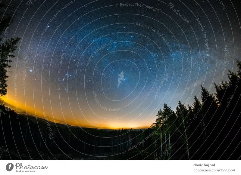 Astro-Landschaft im Pfälzerwald Ferne Freiheit Natur Himmel Nachthimmel Stern Horizont Baum Wald Hügel Gipfel Edenkoben Deutschland Rheinland-Pfalz Europa
