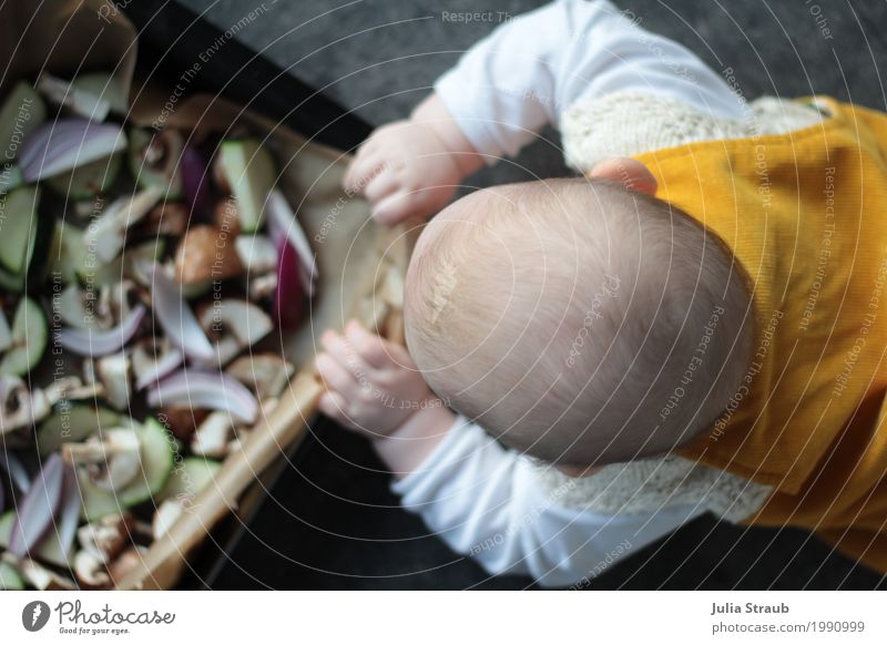 Essen fassen :D Lebensmittel Gemüse Zwiebel Champignons Zucchini Ernährung Abendessen Bioprodukte Vegetarische Ernährung Fingerfood Backform feminin Baby