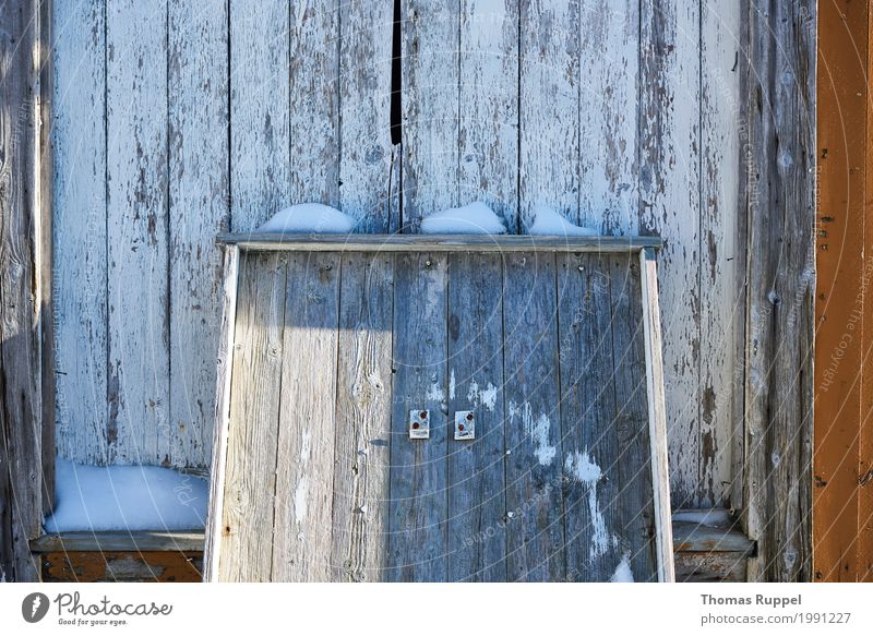 Kiste lehnt an einer Holzwand lofoten Norwegen März 2017 holz Tür Schafe