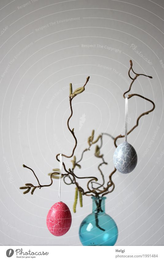 eieiei ... Ostern Zweig Dekoration & Verzierung Vase Osterei Glas hängen stehen Häusliches Leben ästhetisch schön einzigartig braun grau rosa türkis Stimmung