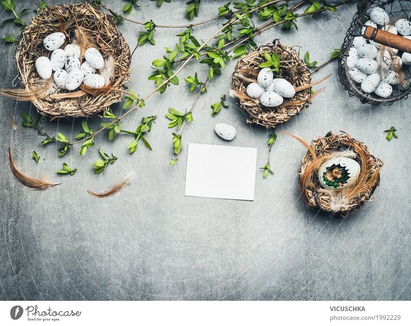 Ostern Hintergrund mit Vogelneste , Eiern und Zweige Stil Design Dekoration & Verzierung Feste & Feiern Natur Frühling Pflanze Schilder & Markierungen Liebe