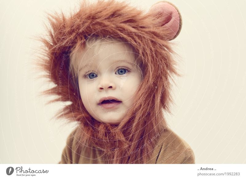 Little Lion Kindergarten feminin Kleinkind Mädchen Kindheit 1 Mensch 1-3 Jahre Bekleidung Karneval Karnevalskostüm verkleiden verkleidet Löwe kuschlig Halloween