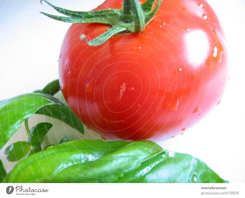 tomate_basilikum Basilikum Italien Kräuter & Gewürze grün rot Gesundheit Vitamin Tomate Ernährung