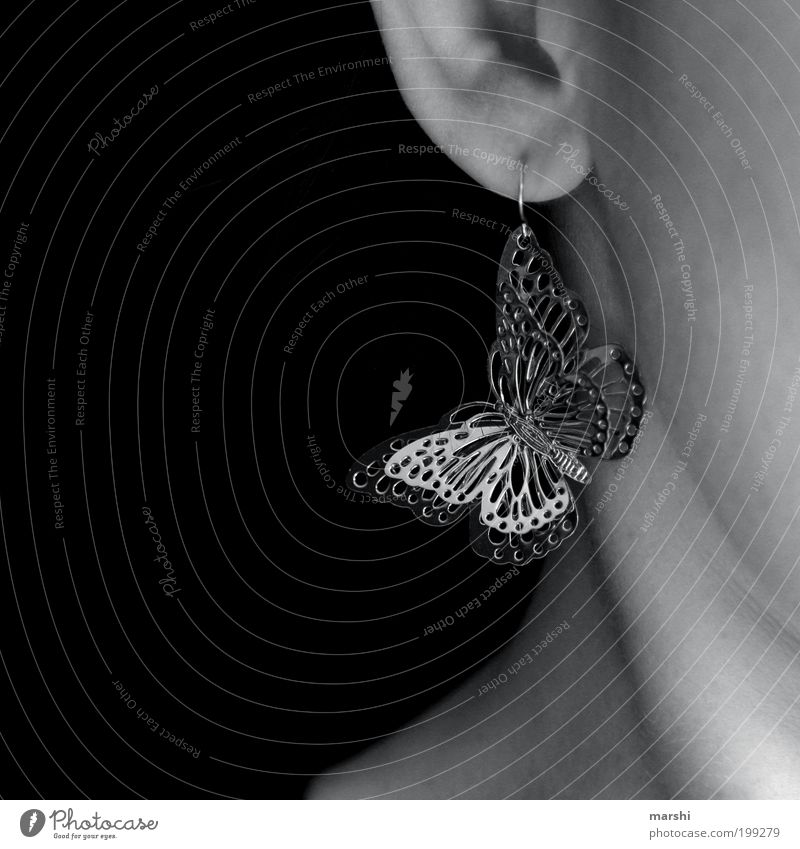 Schmetterling Tier schön Ohr Ohrringe Accessoire hängend glänzend Hals feminin Dekoration & Verzierung Frühlingsgefühle klein Detailaufnahme Schwarzweißfoto