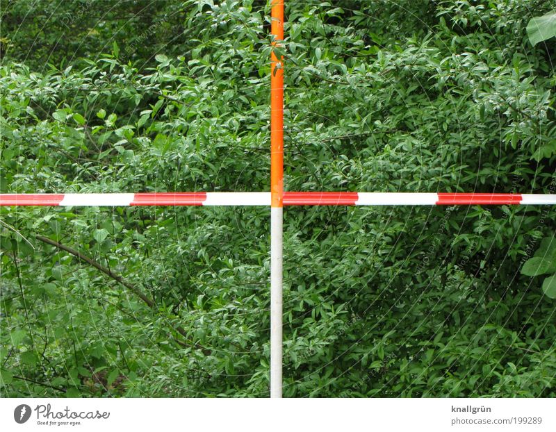Zielkreuz Umwelt Natur Pflanze Frühling Sträucher Park Flatterband Barriere Blühend grün rot weiß Sicherheit Verantwortung Kontrolle planen Verbote Messstange