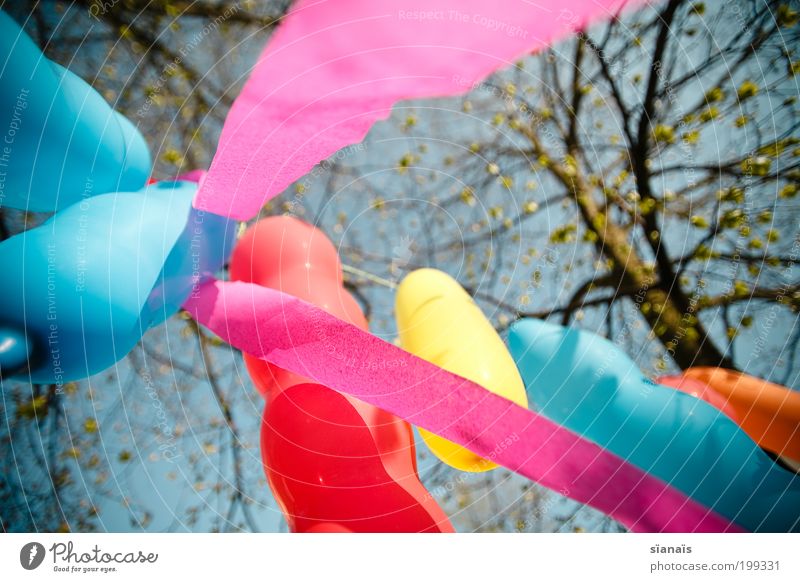 kindergeburtstag Feste & Feiern Geburtstag hängen Stimmung Freude Fröhlichkeit Lebensfreude Luftballon Ballone Dekoration & Verzierung Girlande Schönes Wetter