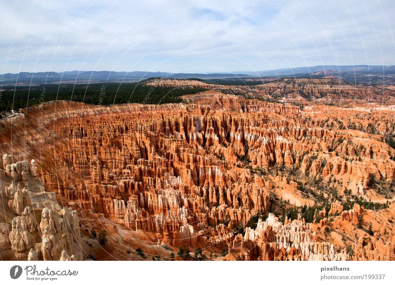 Bryce Canyon Ferien & Urlaub & Reisen Ferne Natur Landschaft Erde Sand Himmel Horizont Sommer Klimawandel Baum Schlucht Menschenleer Stein Holz alt
