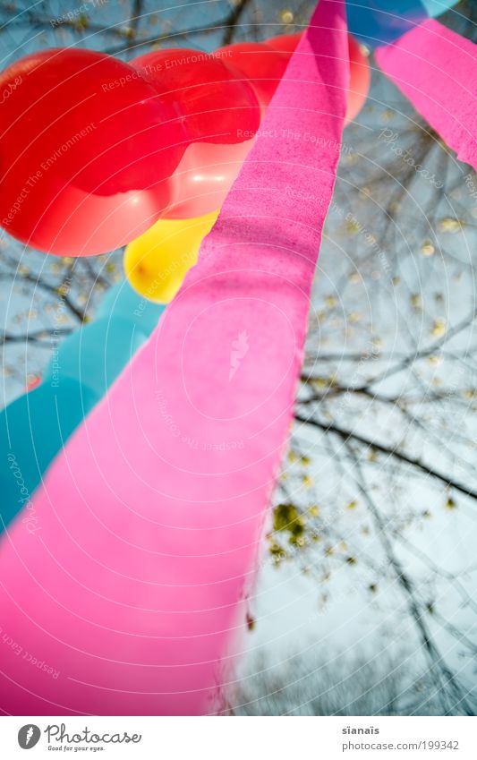 baumschmuck Feste & Feiern Geburtstag Freude Fröhlichkeit Lebensfreude Ballone mehrfarbig Gartenfest spielen verträumt diagonal Brise Frühling rosa
