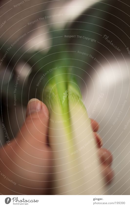 Porree Lebensmittel Gemüse Lauchgemüse Vegetarische Ernährung Hand Finger grau grün weiß Reinigen lecker aufschneiden Fingernagel Nutzpflanze Zutaten Hochformat