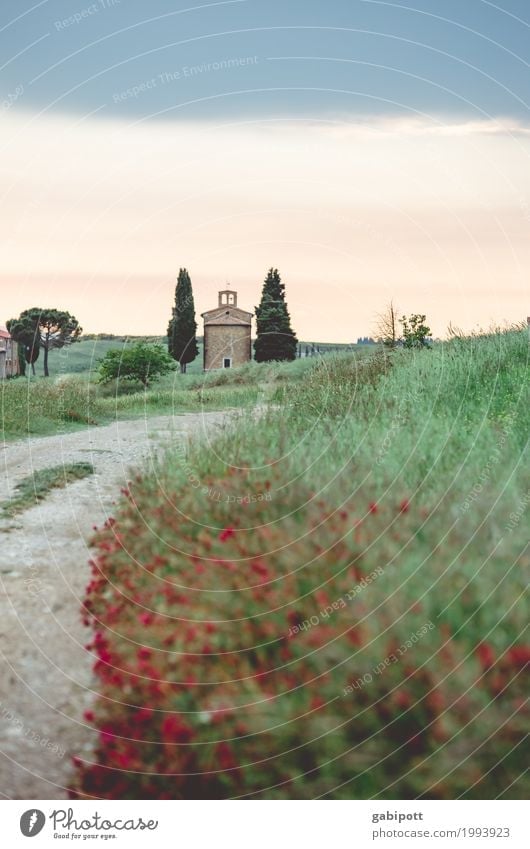 kleine Kapelle in der Toskana toskanische Hügel Blumen Blumenwiese Wege & Pfade sommerlich sommerliche impression Zypressen Urlaubsstimmung