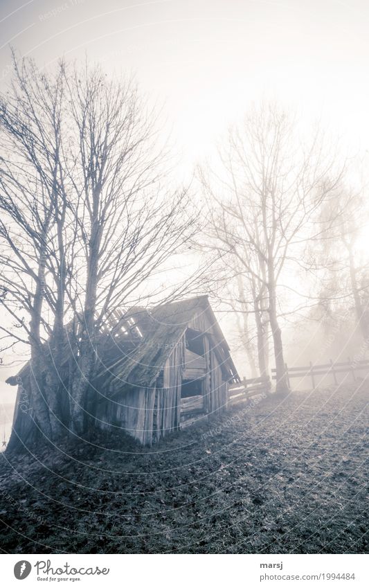 Trüb und regnerisch Herbst Nebel Hütte Heustadl Heuschober kalt Traurigkeit Sorge Unlust Enttäuschung Einsamkeit Misserfolg Verfall Vergänglichkeit verlieren