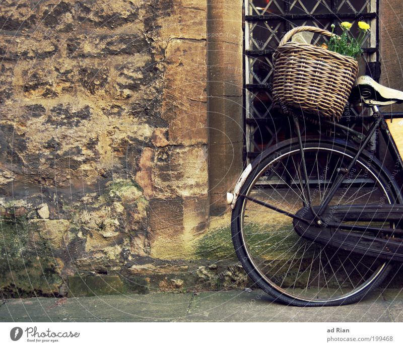Blumenmakro Stil Korb Menschenleer Haus Mauer Wand Fahrrad alt retro standhaft Farbe Farbfoto Außenaufnahme platt Fahrradreifen Rad Einkaufskorb vergessen