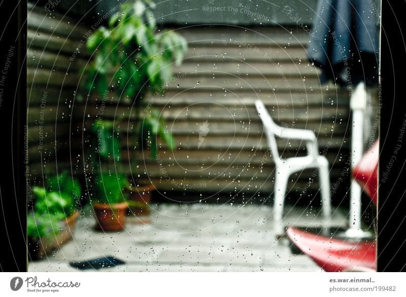 schwimmbad fällt ins wasser. Möbel Stuhl Sonnenschirm Balkon Balkonpflanze Pflanze Wassertropfen schlechtes Wetter Regen Grünpflanze Topfpflanze Wachstum