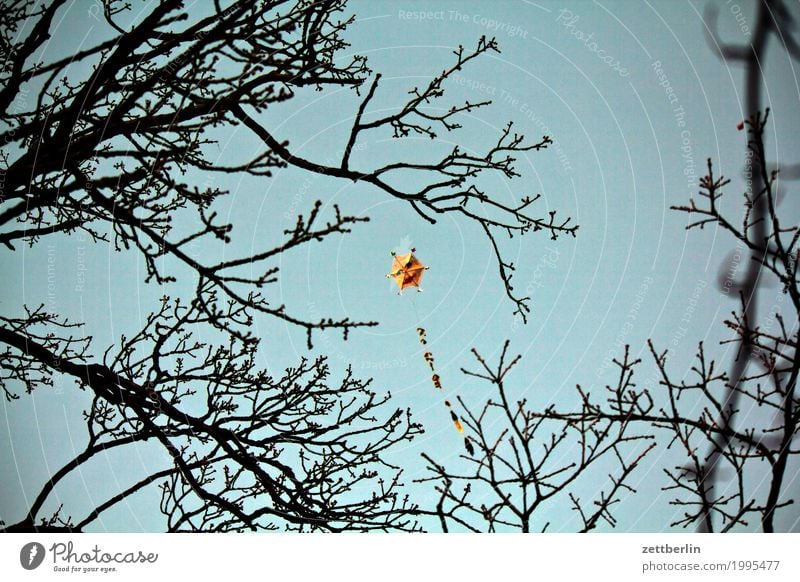 Drachen im Herbst Abend Dämmerung Himmel Menschenleer Natur Textfreiraum Lenkdrachen Spielen Spielzeug fliegen fliegend steigen Wind wehen Sturm Ast Zweig