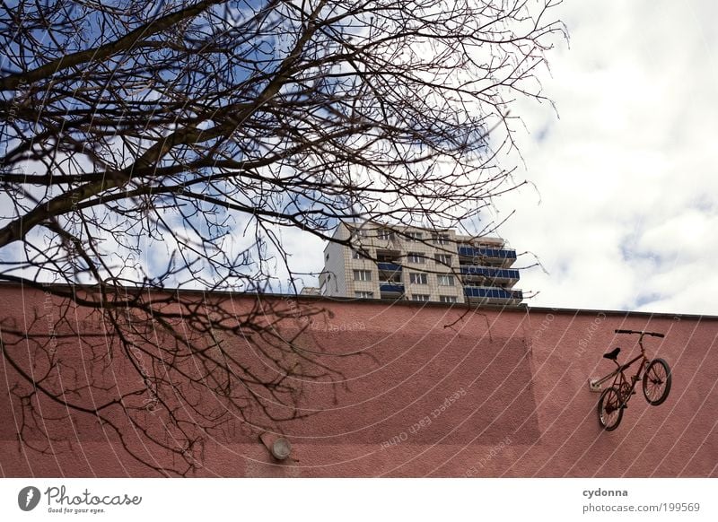 [HAL] I want to ride my Bicycle Lifestyle Stil Design Freizeit & Hobby Freiheit Umwelt Himmel Baum Stadt Architektur Mauer Wand Fassade Fahrrad einzigartig