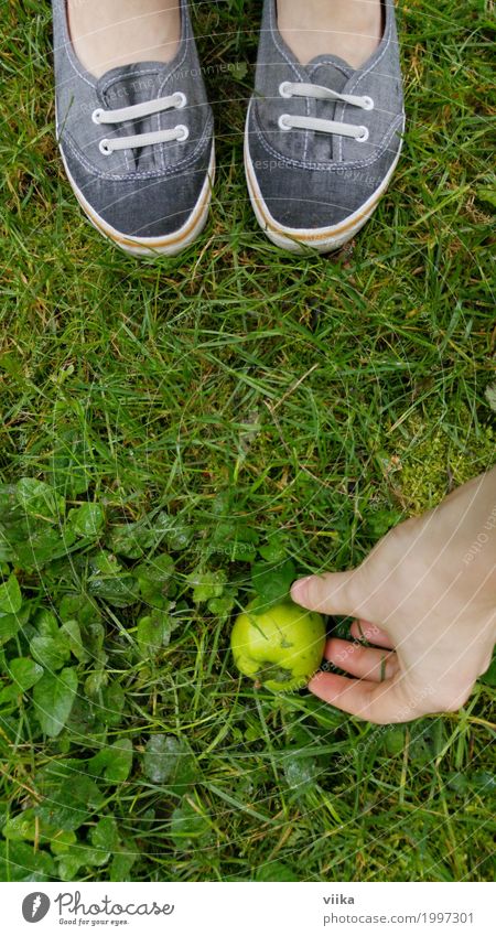 saurer Apfel Frucht Bioprodukte Vegetarische Ernährung Diät Freude Glück sparen Gesunde Ernährung Sinnesorgane Sommer Gartenarbeit Mensch feminin Junge Frau