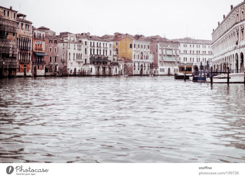 Gondelfahrt Venedig Italien Stadt Hafenstadt Stadtzentrum Altstadt schön Canal Grande Gondel (Boot) palazzo Palast Wasserfahrzeug Schifffahrt ruhig elegant