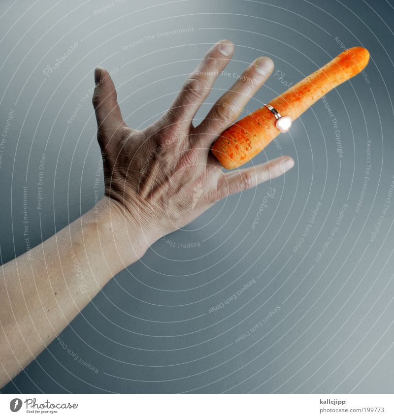 3000_endless love Lebensmittel Gemüse Ernährung Fingerfood Lifestyle elegant Stil Design Arme Hand 1 Mensch Accessoire Schmuck Ring glänzend schön Möhre