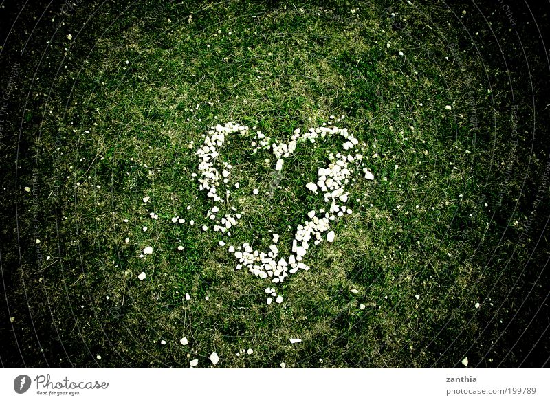 <3 Glück Sommer Natur Pflanze Frühling Gras Wiese Zeichen Herz grün weiß Gefühle Lebensfreude Frühlingsgefühle Leidenschaft Akzeptanz Geborgenheit
