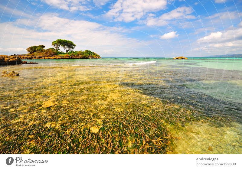 Karibisches Meer Ferien & Urlaub & Reisen Tourismus Ausflug Kreuzfahrt Expedition Sommer Sommerurlaub Sonne Sonnenbad Strand Insel Natur Landschaft heiß blau