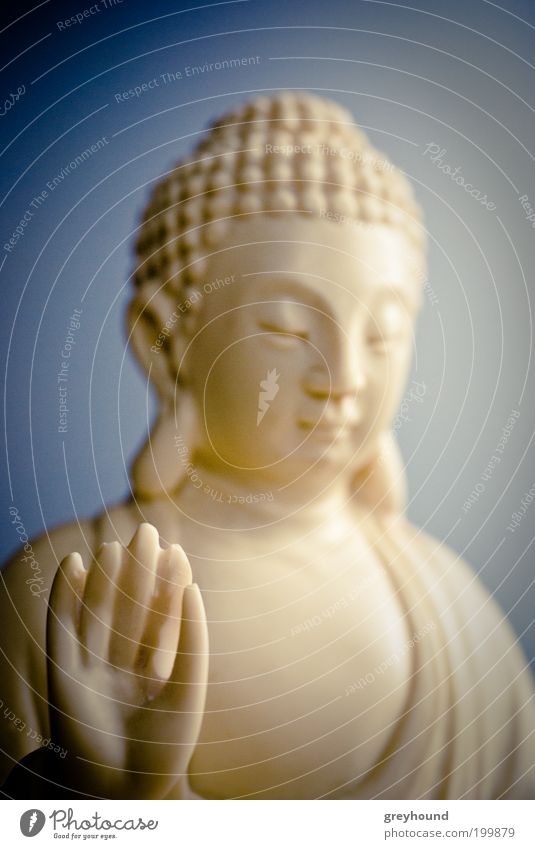 Little Buddha Skulptur sitzen exotisch Freundlichkeit weiß Vorsicht Gelassenheit ruhig Selbstbeherrschung Weisheit Glaube Religion & Glaube Buddhismus Farbfoto