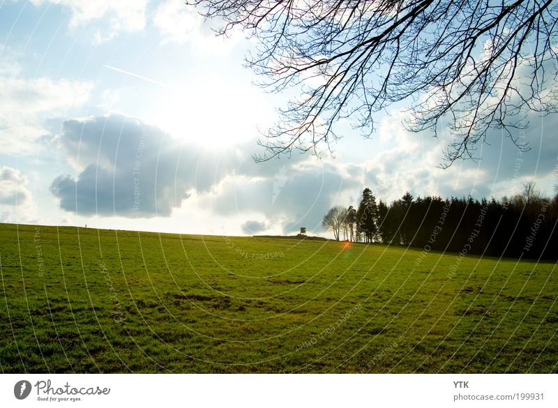 Saxon Meadow :-) Umwelt Natur Landschaft Pflanze Himmel Wolken Sonne Frühling Schönes Wetter Nutzpflanze Feld Wald glänzend saftig Wärme grün Ferne Blendenfleck