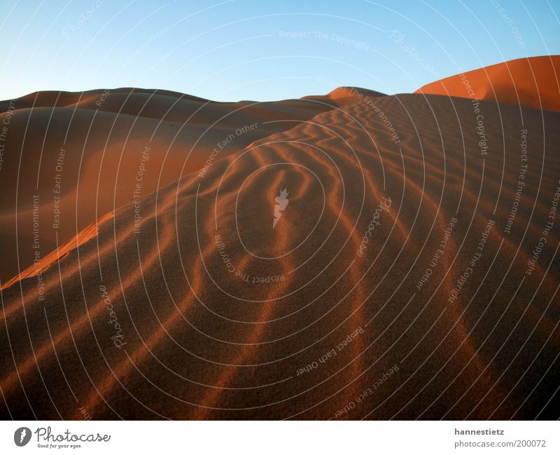 Sahara Ferien & Urlaub & Reisen Tourismus Ferne Freiheit Natur Sand Wüste Einsamkeit Libyen Windrippel Düne Farbfoto Außenaufnahme Menschenleer Abend Schatten