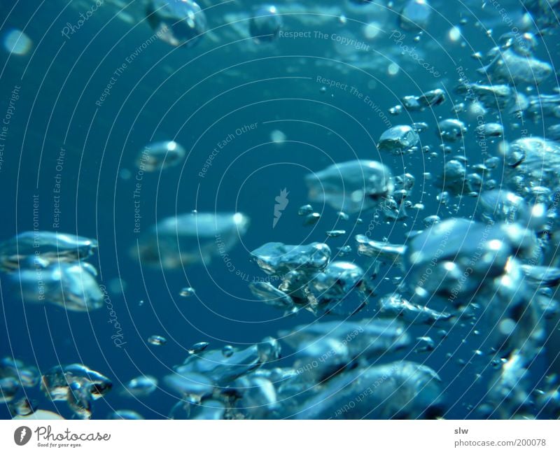 breath Meer Umwelt Natur Wasser Wassertropfen fantastisch kalt schön blau Unterwasseraufnahme Menschenleer Textfreiraum links frisch Luftblase Reinheit