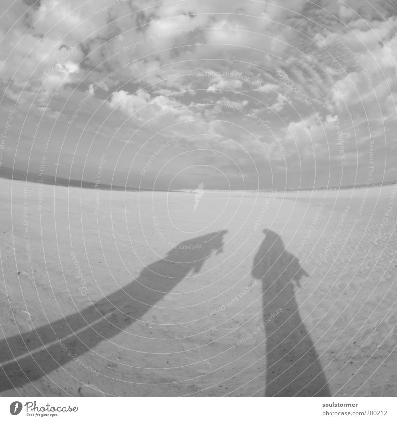 Bewerbungsgespräch Mensch maskulin 2 Landschaft Erde Sand Klimawandel Küste Strand Nordsee Abenteuer stagnierend Stimmung sprechen Wüste Wolken Langeoog