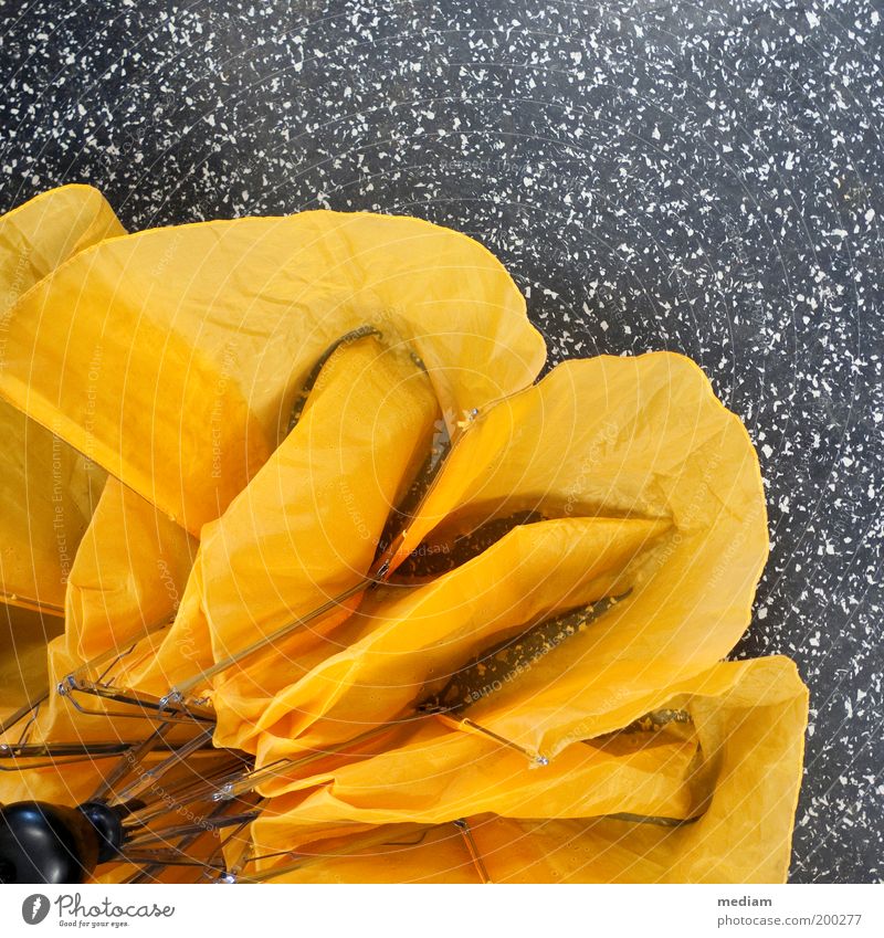 Bonjour tristesse Wassertropfen Herbst schlechtes Wetter Regen Blume Blüte Bodenbelag Regenschirm Schirm Stoffblüten Falte Faltenwurf Nylon Regenschirmständer