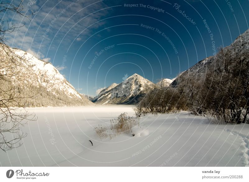 eiskalt Umwelt Landschaft Wasser Winter Schönes Wetter Eis Frost Schnee Pflanze Baum Alpen Berge u. Gebirge Gipfel Schneebedeckte Gipfel Seeufer Einsamkeit