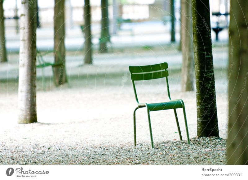 Asseyez vous! Stuhl Baum Park Metall grau grün Kies Kieselsteine Farbfoto Gedeckte Farben Außenaufnahme Menschenleer Textfreiraum links Textfreiraum unten Tag