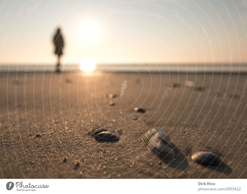 Der Sonne so nah Erholung Kur Ferien & Urlaub & Reisen Tourismus Ausflug Ferne Freiheit Strand Meer 1 Mensch Umwelt Natur Sand Schönes Wetter Küste Nordsee