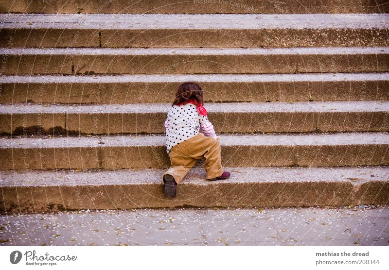 STEILER WEG Mensch Kleinkind Kindheit 1 1-3 Jahre Treppe krabbeln klein entdecken Entschlossenheit anstrengen erobern schön niedlich lernen steigen Farbfoto