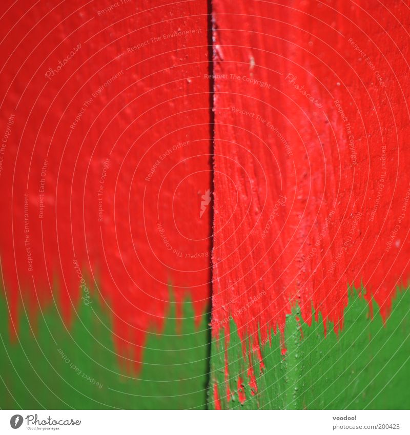 zerrissenes Land Menschenleer leuchten grün rot Zukunftsangst Weissrussland mehrfarbig Quadrat Erdbeeren Farbfoto Textfreiraum links Tag streichen Erneuerung
