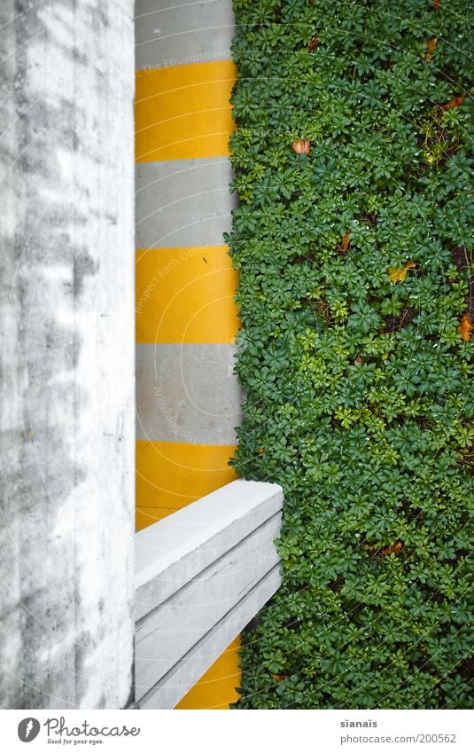 LE VERT Bauwerk Parkhaus Mauer Wand gelb grau grün Fußgängerzone Fußgängerunterführung Zebrastreifen Pflanze graphisch Kontrast Beton Betonboden Tiefgarage