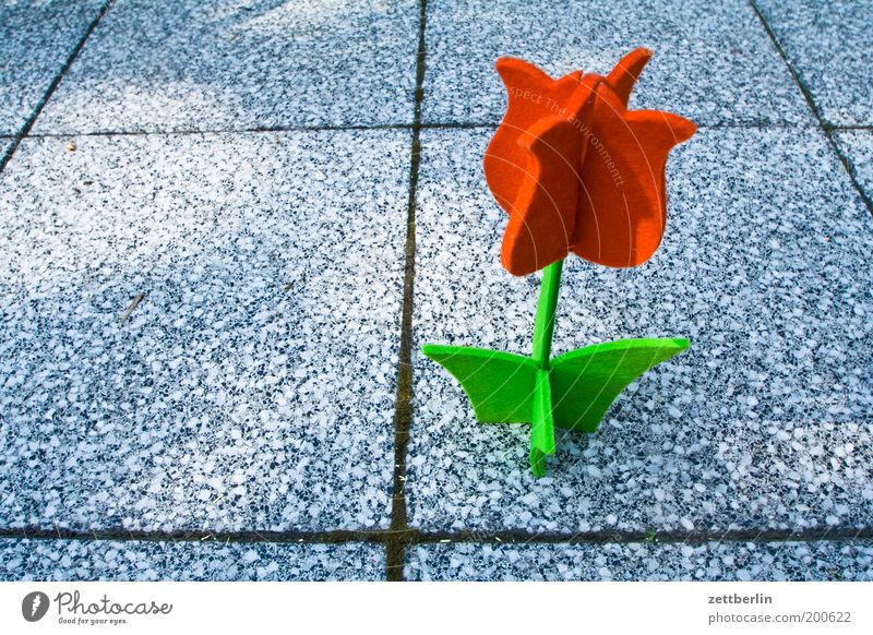 Blume Dekoration & Verzierung Filz Blüte Tulpe Garten Bürgersteig Bodenplatten Terrasse Fuge Sommer Stoffblüten künstlich Handarbeit