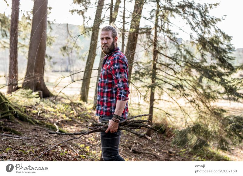 Holz maskulin Junger Mann Jugendliche Erwachsene 1 Mensch 18-30 Jahre Umwelt Natur Landschaft Wald nachhaltig natürlich Hipster ansammeln Ast Naturliebe