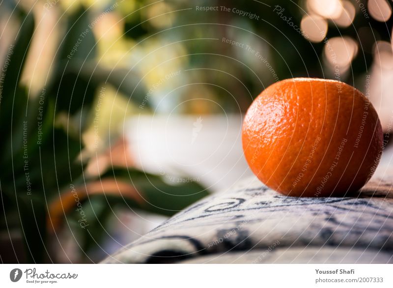 Orange with a wonderful background Frucht Ernährung Gefühle Stimmung Glück Fröhlichkeit Optimismus Warmherzigkeit Liebe dankbar Natur Umwelt Farbfoto mehrfarbig