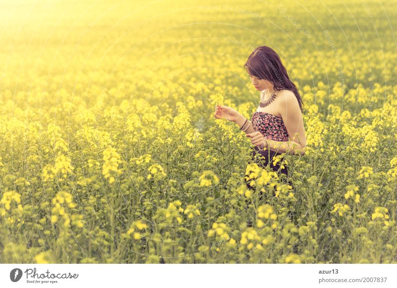 Schöne junge Frau beim Blumen pflücken im Sommer auf gelber Wiese aus Raps bis zum Horizont. Hübsches Mädchen mit Lebensfreude geniesst die Sonnenschein Pause und das Leben. Erholung und Energie tanken vom Zeit Stress in der Umwelt und Natur Idylle.