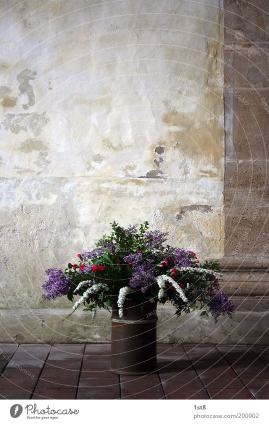 Strauß Umwelt Natur Pflanze Blume Kirche Dom Mauer Wand Blumenstrauß Blüte Säule Boden Stein Steinplatten Vase Kübel Farbfoto Textfreiraum oben