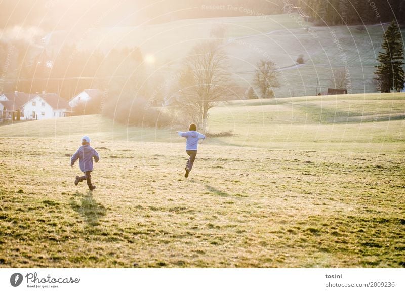 Zwei Kinder rennen einen Hügel hinunter Mensch Bruder Kindheit 2 Kindergruppe 1-3 Jahre Kleinkind 3-8 Jahre Gefühle Freude Fröhlichkeit Wiese Frühling Sonne
