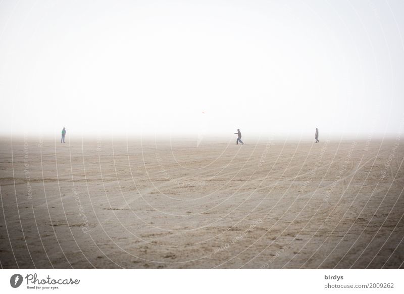 viel Platz zum Spielen Freude Frisbee maskulin Freundschaft 3 Mensch 18-30 Jahre Jugendliche Erwachsene Sand Nebel Strand Sport außergewöhnlich Zusammensein
