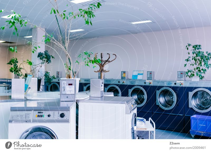 Schön sauber Waschmaschine Pflanze Stadt Gebäude Architektur Wäscherei alt trendy kalt retro Sauberkeit trashig trist blau grün ruhig Design Einsamkeit Farbe
