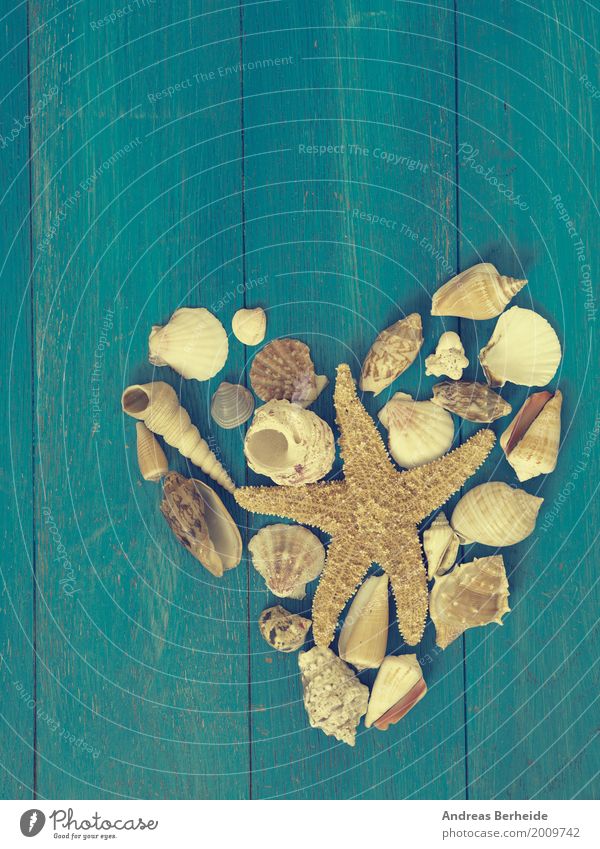 Ein Herz für Urlaub Ferien & Urlaub & Reisen Sommer Strand Valentinstag Natur Sand Erholung Liebe heart shape shell Hintergrundbild sea holiday starfish