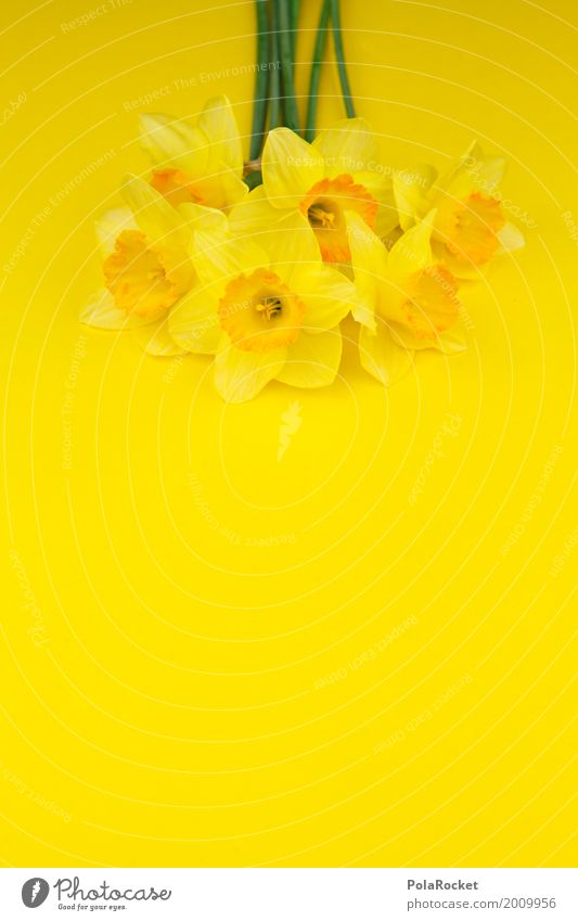 #AS# Ostergelb I Kunst ästhetisch Ostern Osternest Osterwunsch Ostermontag Ostergeschenk Blume Blumenstrauß Frühling Frühlingsblume Frühlingsfarbe Frühlingsfest