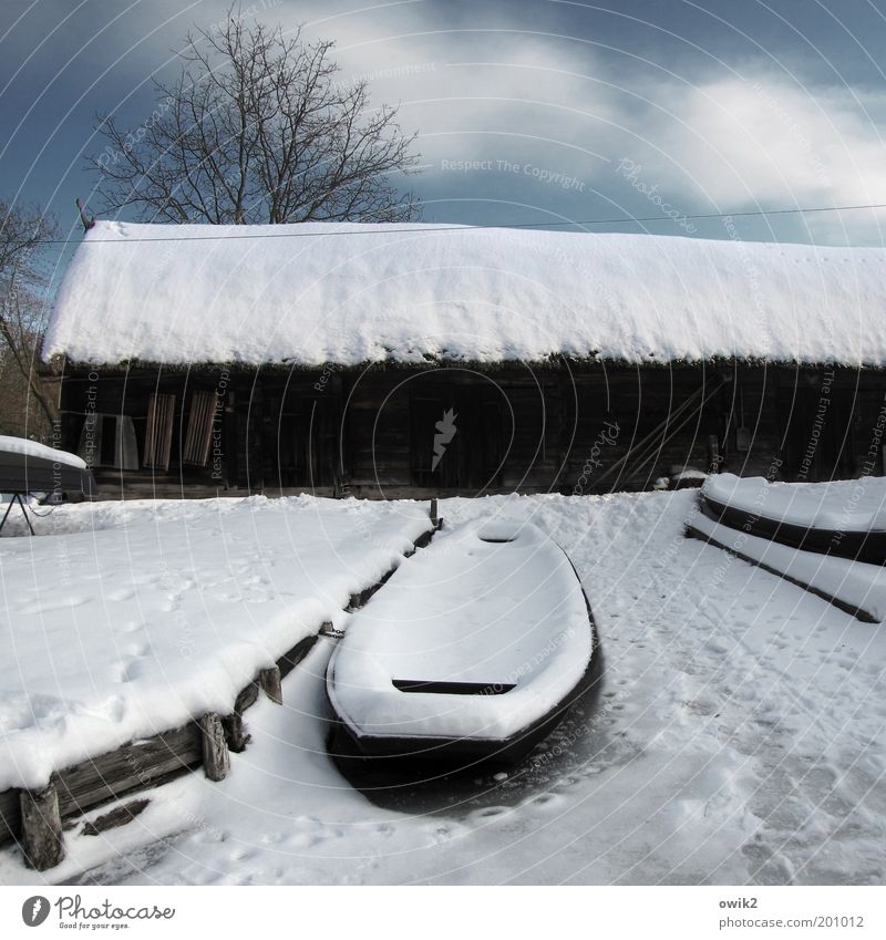 Winter im Spreewald Umwelt Landschaft Himmel Wolken Klima Wetter Schönes Wetter Eis Frost Schnee Lehde Deutschland Haus Bauwerk Gebäude Scheune Dach