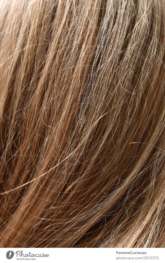 Haarstruktur (06) Haare & Frisuren blond schön gepflegt Körperpflege Haare schneiden Haarstrukturen natürlich Farbe Strukturen & Formen Farbfoto Außenaufnahme