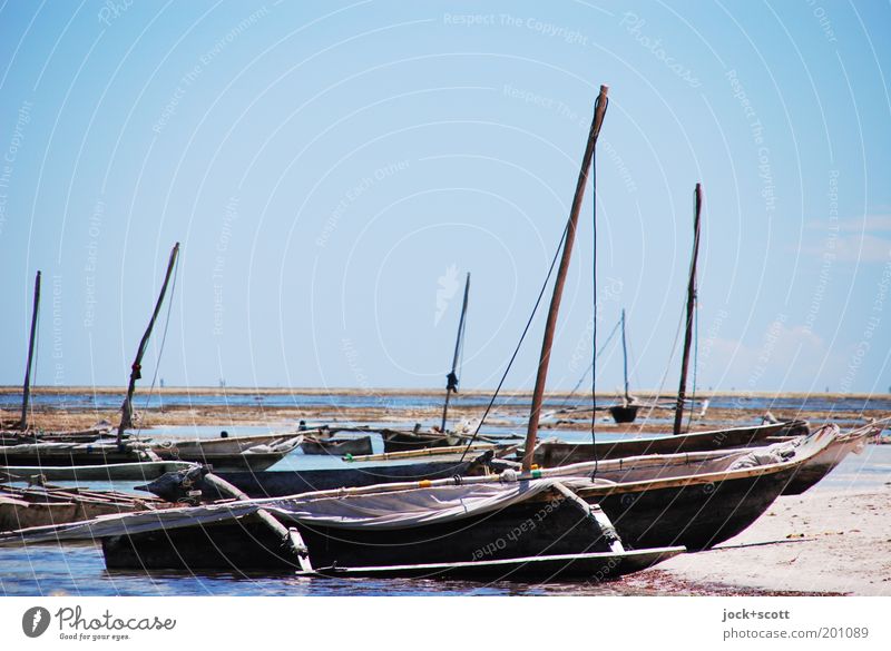 Strandung Ferne Schönes Wetter Küste Meer Kenia Afrika Fischerboot Holz liegen einfach exotisch authentisch bescheiden Horizont Idylle malerisch Segelboot Mast